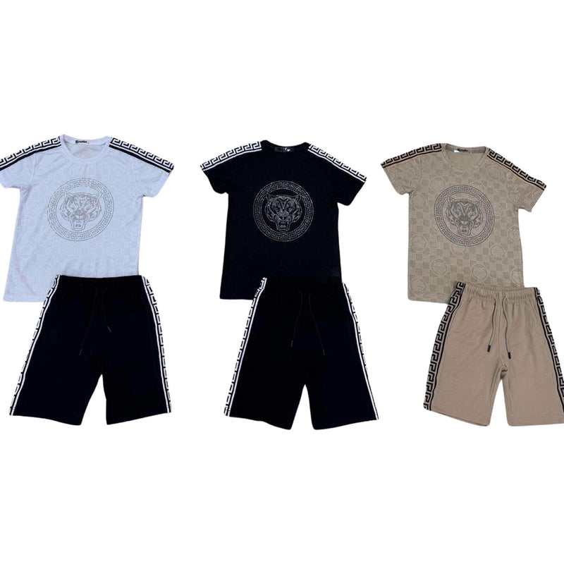 Boys Tiger Print T-Shirt And Short Set H-162