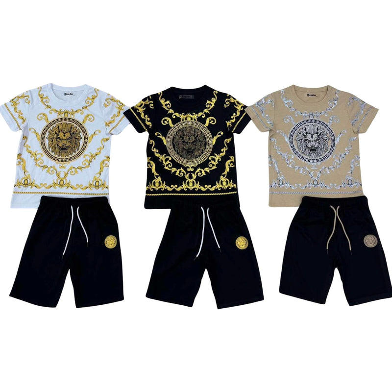 Boys Lion Print T-Shirt And Short Set H-160