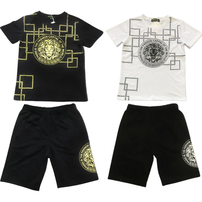 Boys Lion Print T-Shirt And Short Set F89