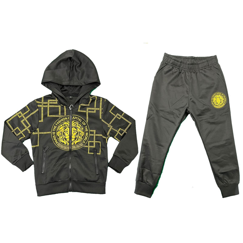 Boys Tracksuit Jacket Jogging Bottoms Set Joggers Outfit Lion Print Kids