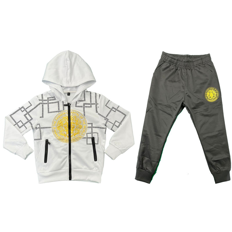 Boys Tracksuit Jacket Jogging Bottoms Set Joggers Outfit Lion Print Kids